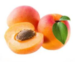 Apricot303