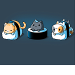 Kittyy fan group