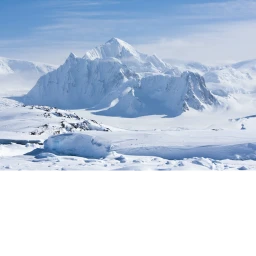 Antarctica icon