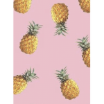 Pineapple Vibe Clothing!