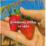 Shoop strawberries
