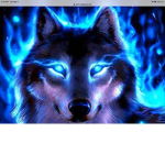 Dark and light wolves