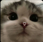 Mochiis fan group <3