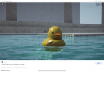DuckieDucky