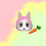 I likes bunny it’s bunny group