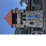 Castle animal club