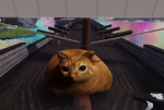 Cat games..