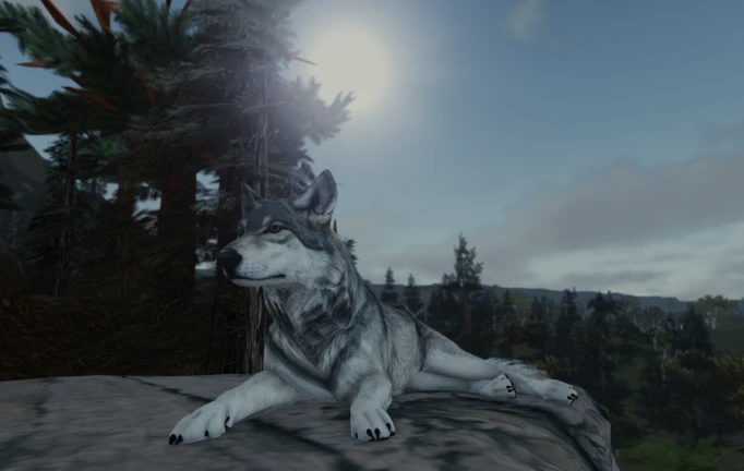 Prowl: Taiga Biome