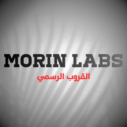 Morin Labs Roblox group icon