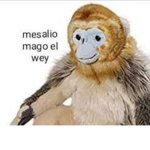 Arcobalenos