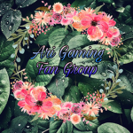 Ari Gaming Fan Group