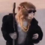 Drippy Monke's Store