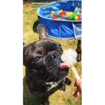 Riley_pebbles3 group