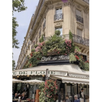 ʚ parís ɞ