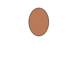 EGG Comunity