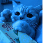 cwwutiee