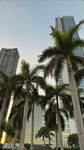 inmiami