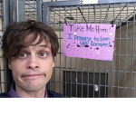 mgg stanz