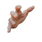 Guesty head