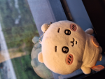 cinnamoroll <3!