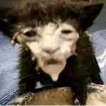 I need more milk