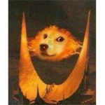 The Doge Assult Clan
