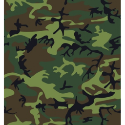Otten Brunn Militär Schule | 2.0         Beta