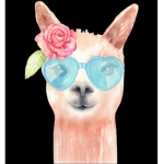 |The Llama Squad|