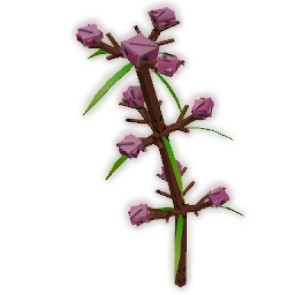 Speargrass