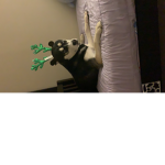 Broly-socks-GROUP’o’