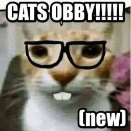 The Cats Obby