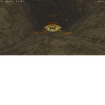 Sea Turtle Squads