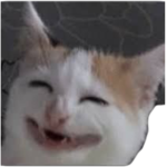 منورين عيون غاليه