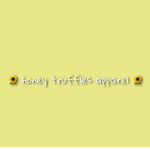 honeytruffles apparel