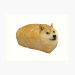 the doge chruch