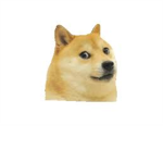 Doge people of roblox