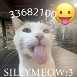 SillykittensFG