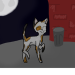 Stray Kat Strut