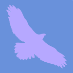 Beak Development Team