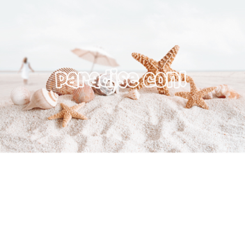 Paradise con