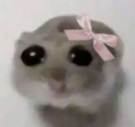 11NXYIA