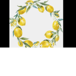 I like lemmons.