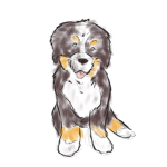 PuppyDogPeople!!!!!!!!!!!!!