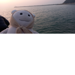 지방이인형