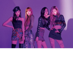 Fans De Black Pink