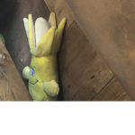 teh real banana aa