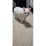 SoZIly