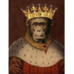 THE COOL MONKE GROUP