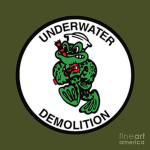 Underwater Demolition Team | 1950's