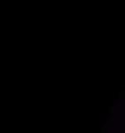 Vision Developer Group